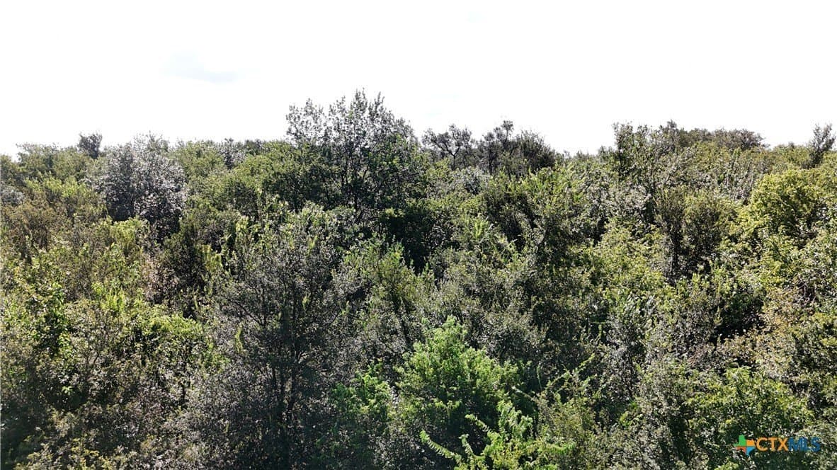 10.01 acres in Falls County - photo 9
