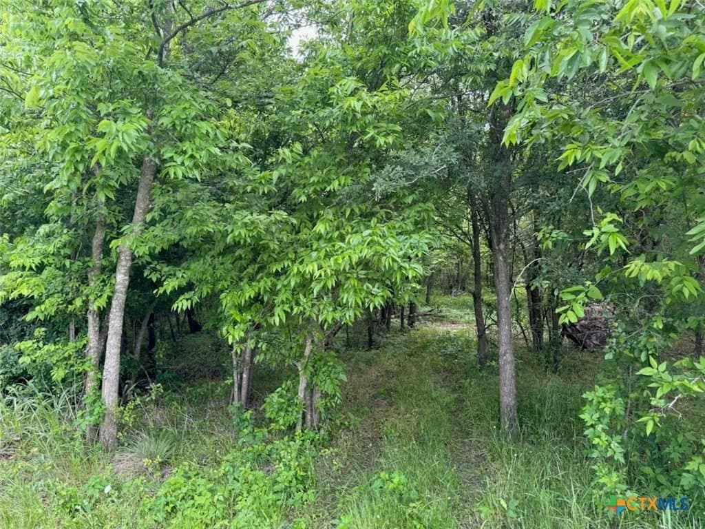 10.01 acres in Falls County - photo 37