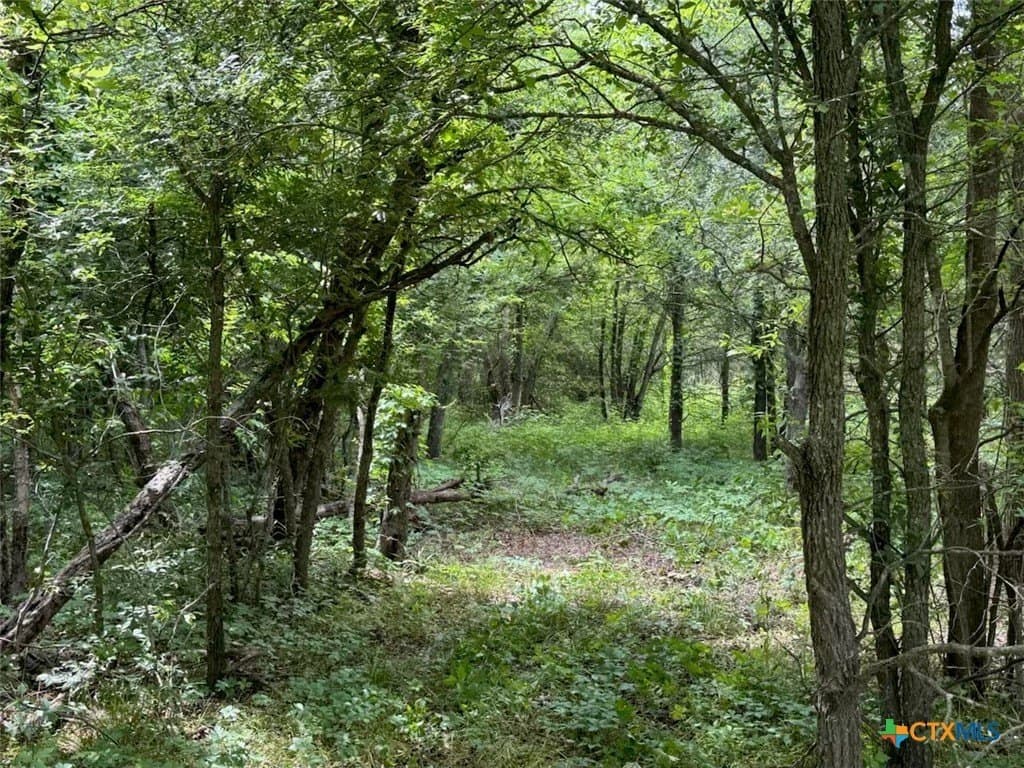 10.01 acres in Falls County - photo 34