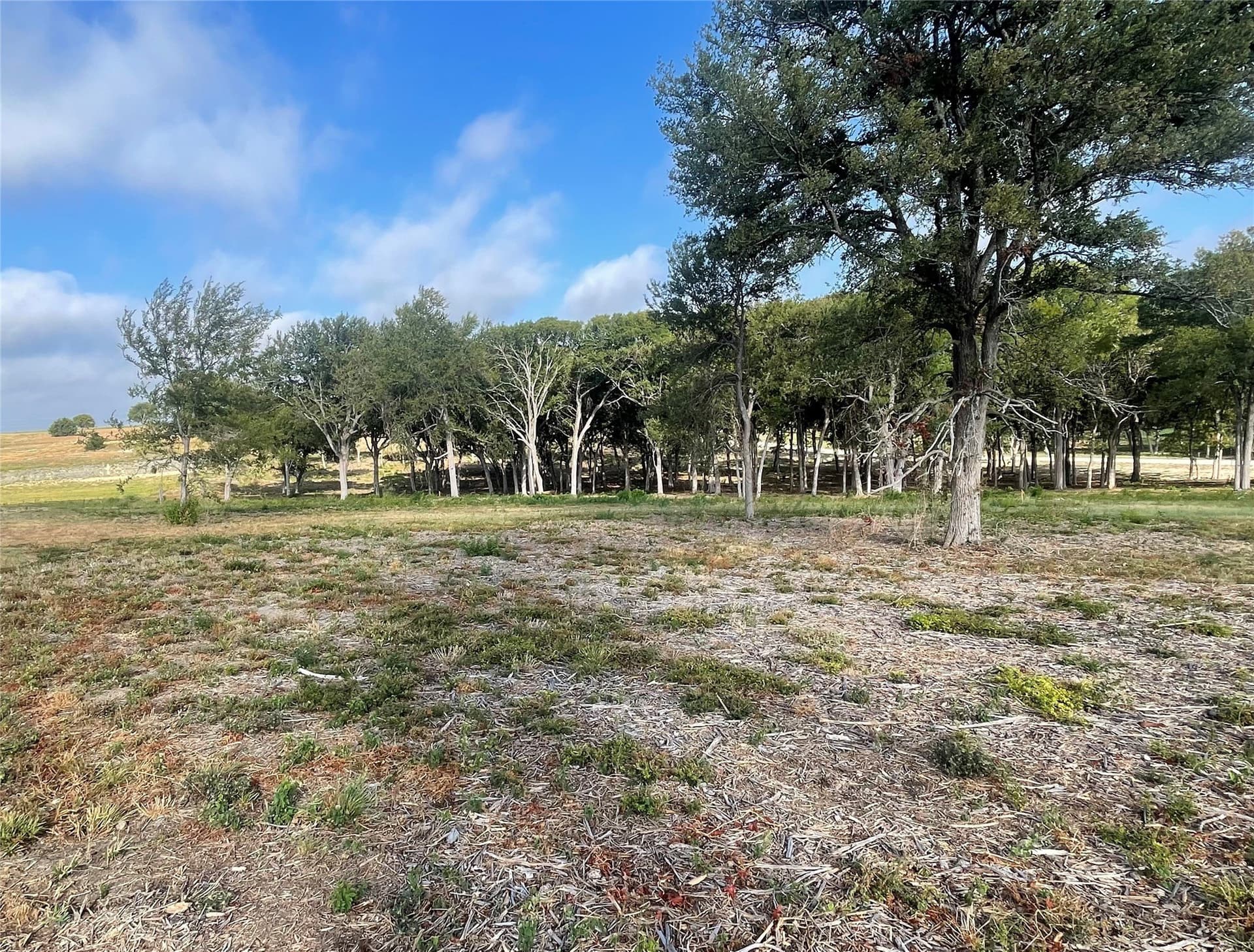 1.44 acres in Ellis County - photo 4