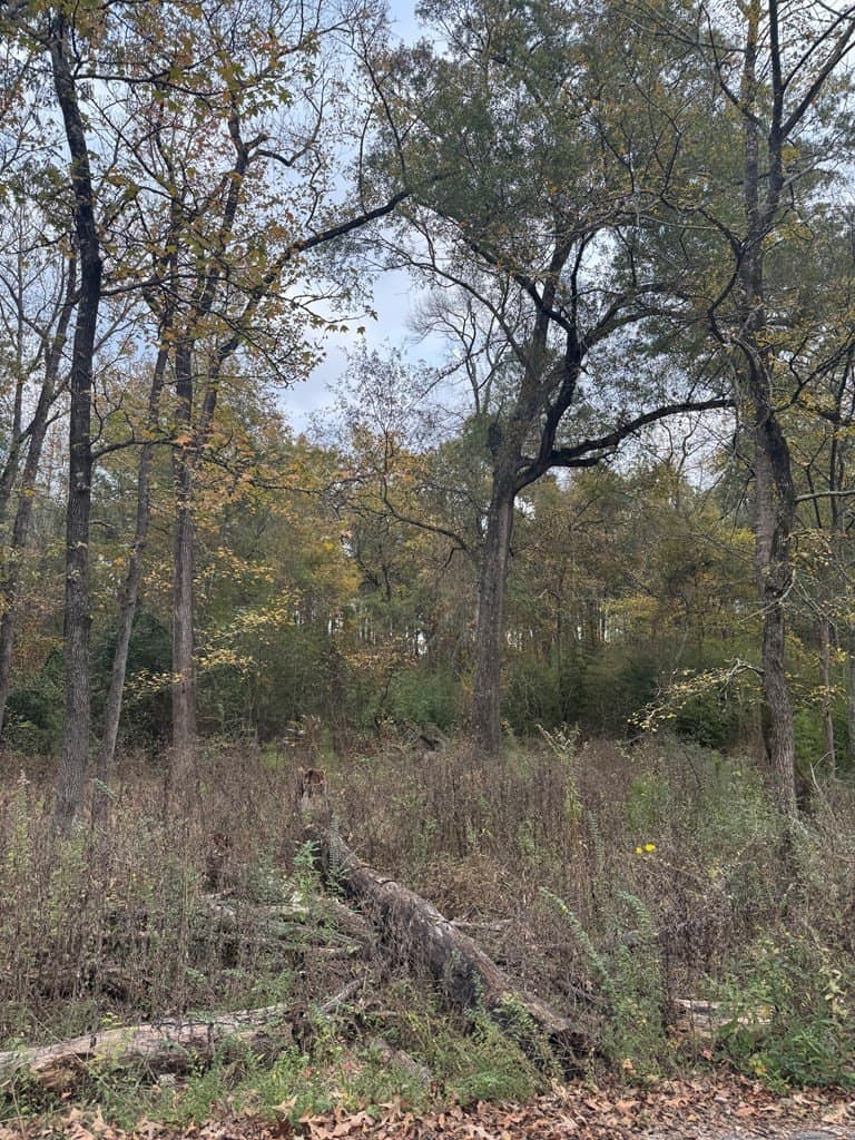 0.34 acres in Texas County - photo 10