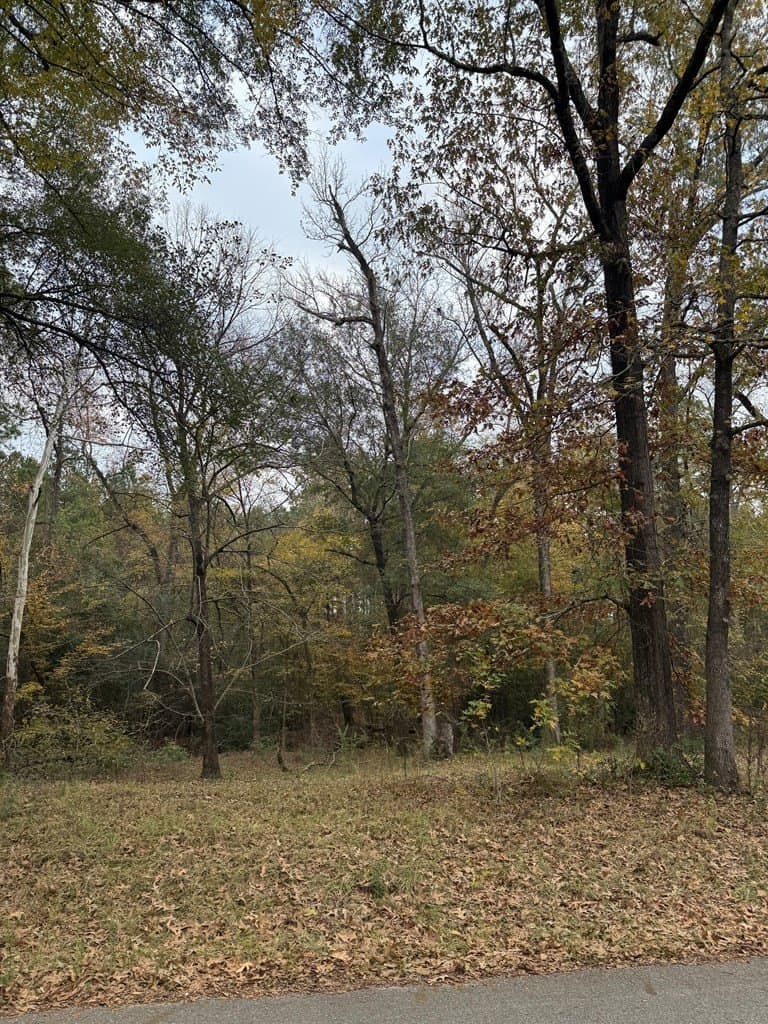 0.34 acres in Texas County - photo 9