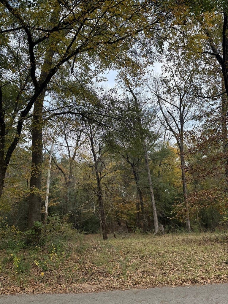 0.34 acres in Texas County - photo 6