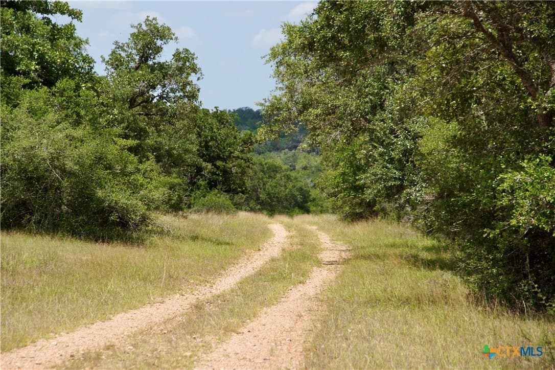 147.9 acres in DeWitt County - photo 3