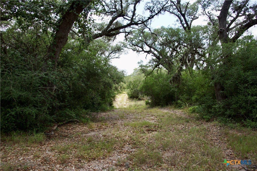 147.9 acres in DeWitt County - photo 11