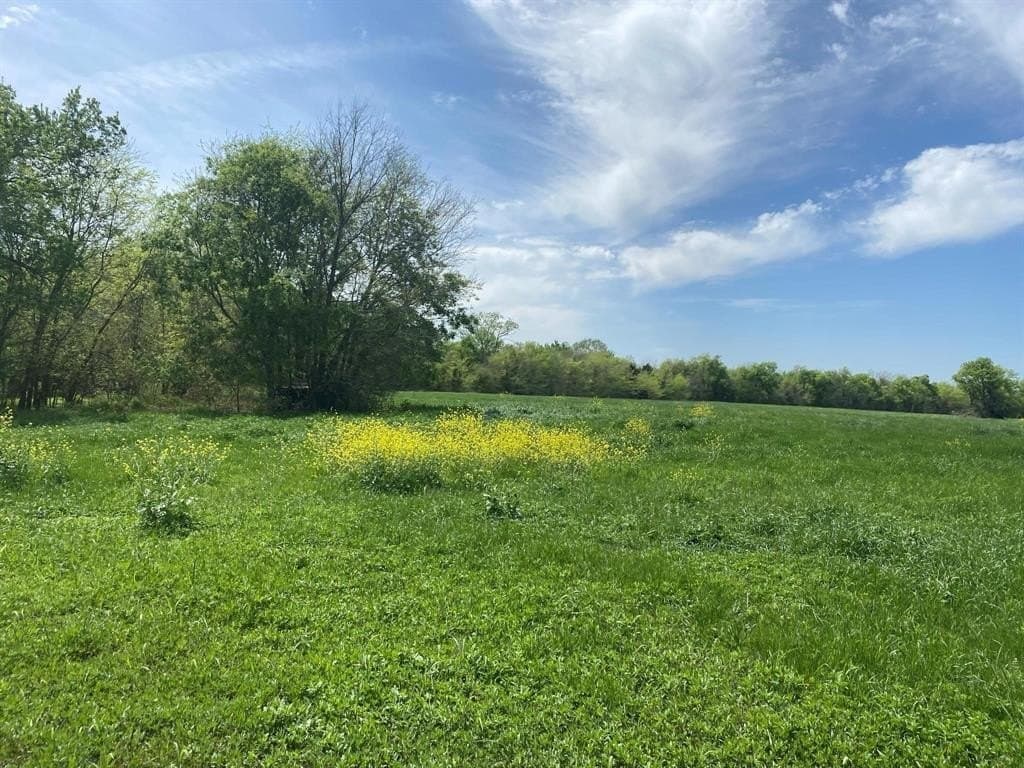 135.73 acres in Hunt County gallery image 4
