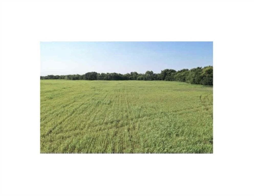 135.73 acres in Hunt County featured view
