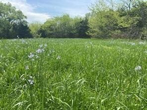 135.73 acres in Hunt County gallery image 3