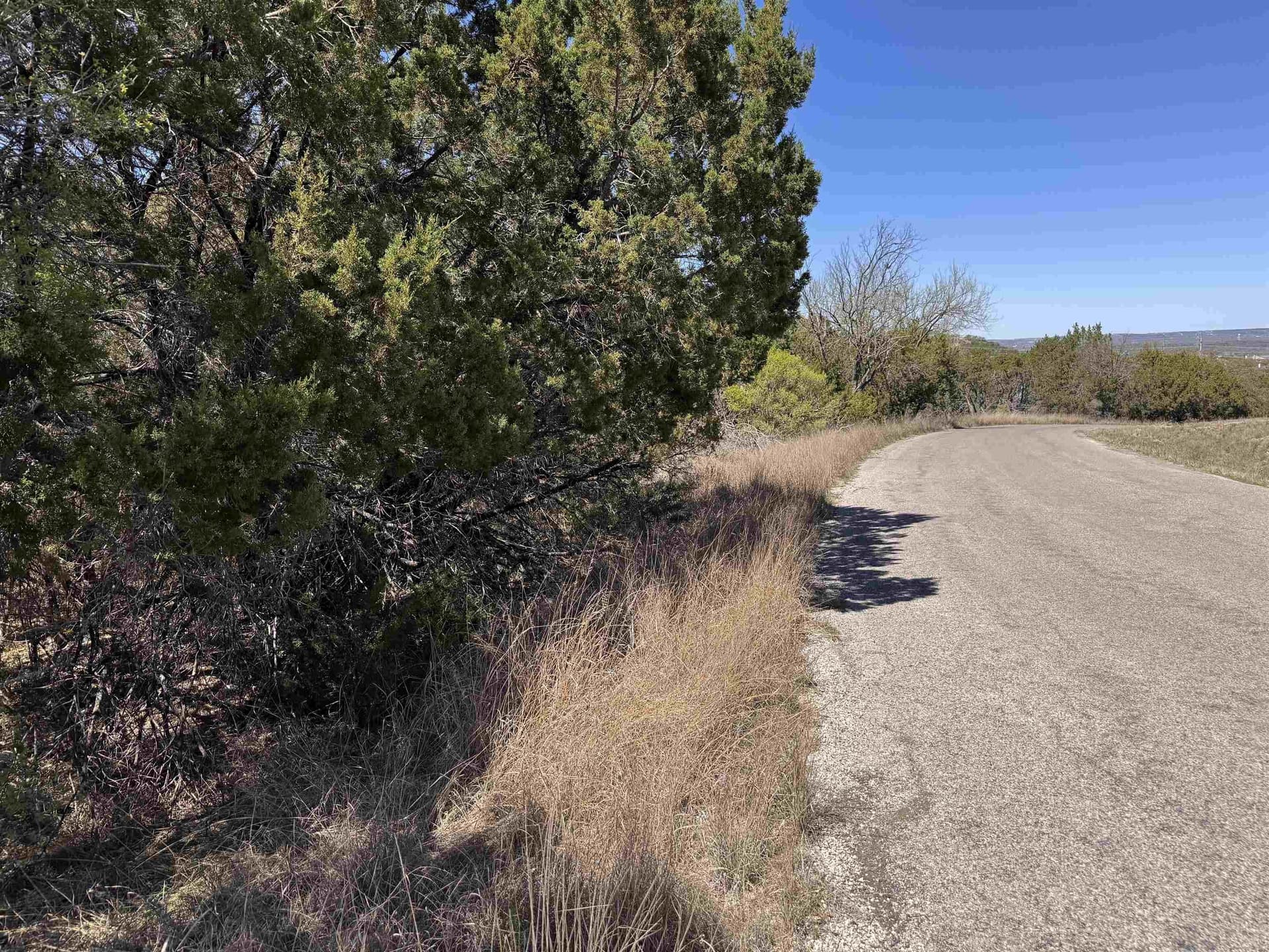 0.28 acres in Burnet County gallery image 3