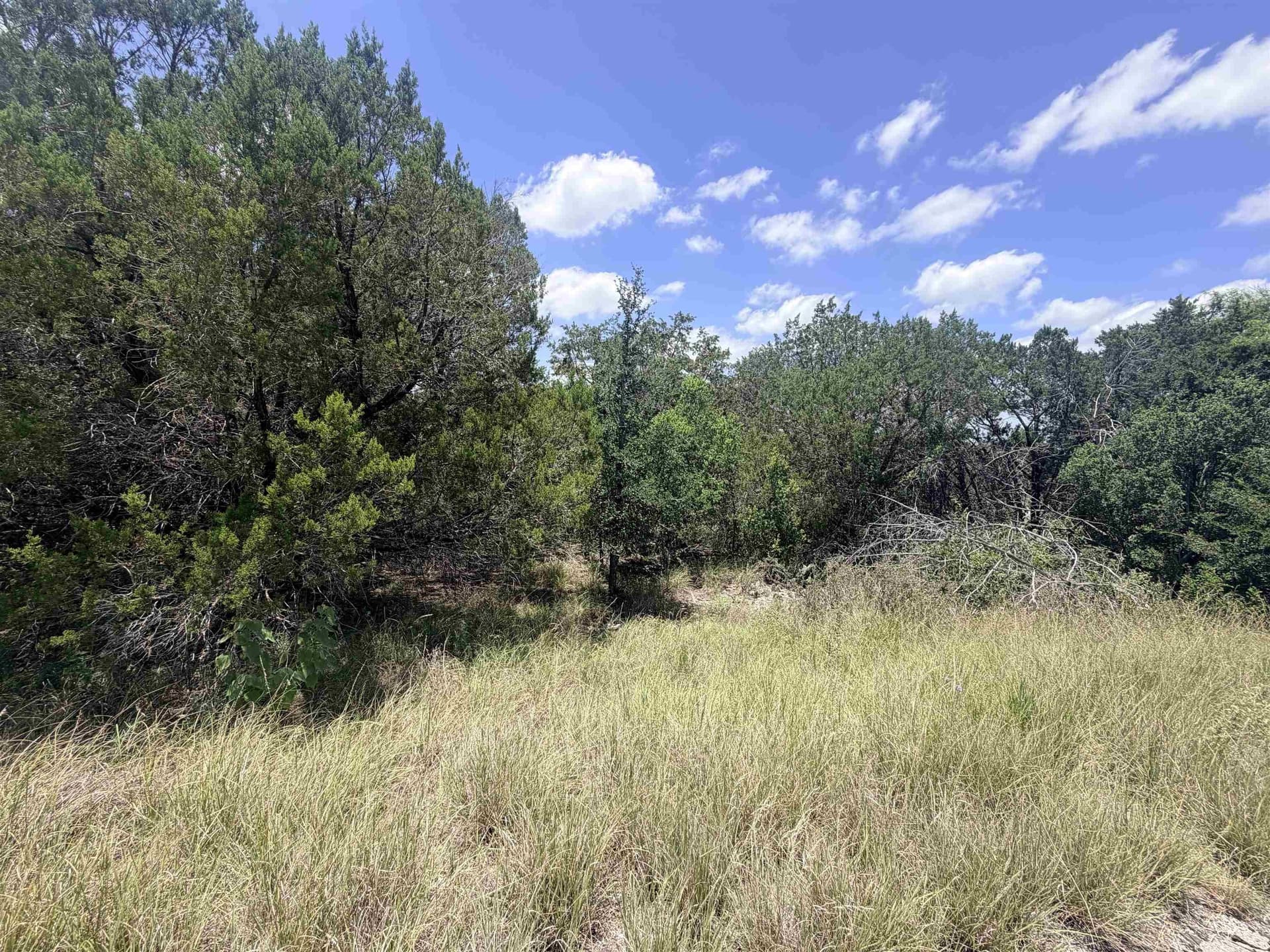 0.28 acres in Burnet County - photo 8