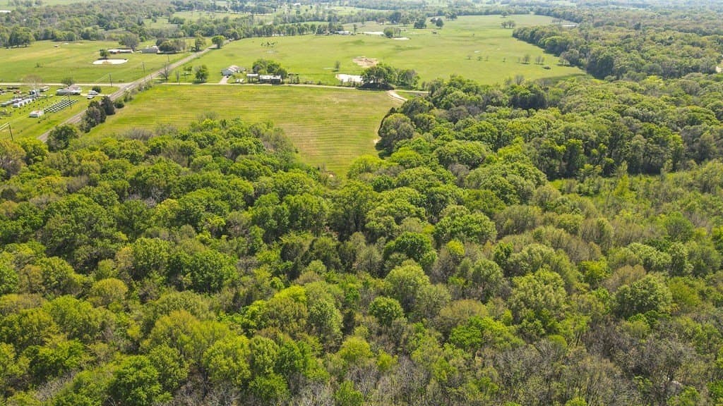 56.08 acres in Van Zandt County - photo 14