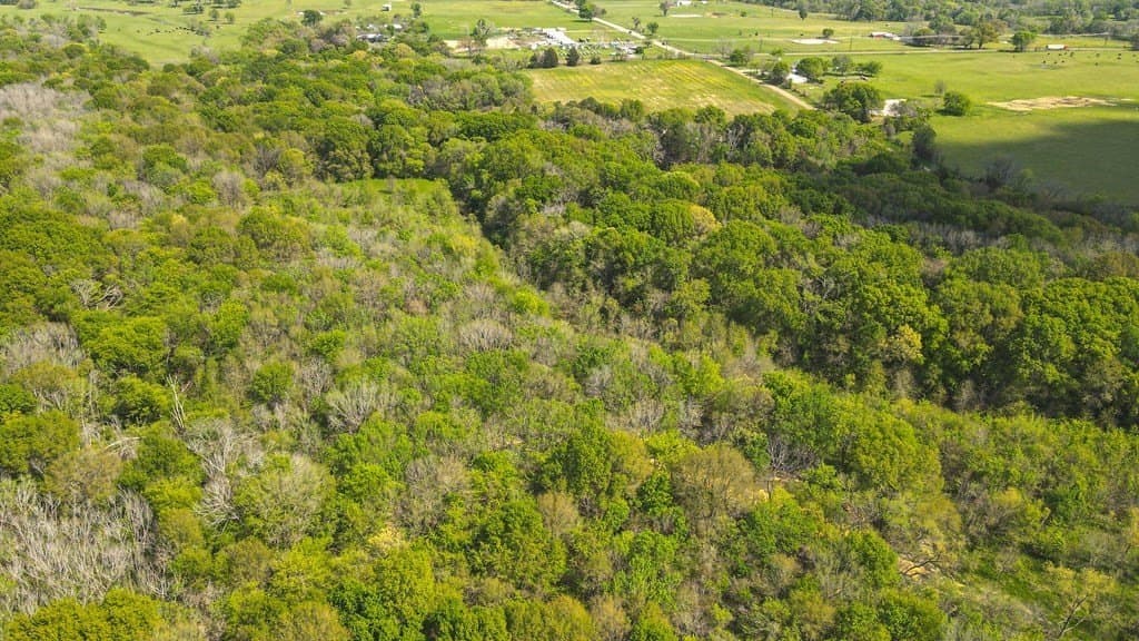 56.08 acres in Van Zandt County - photo 19