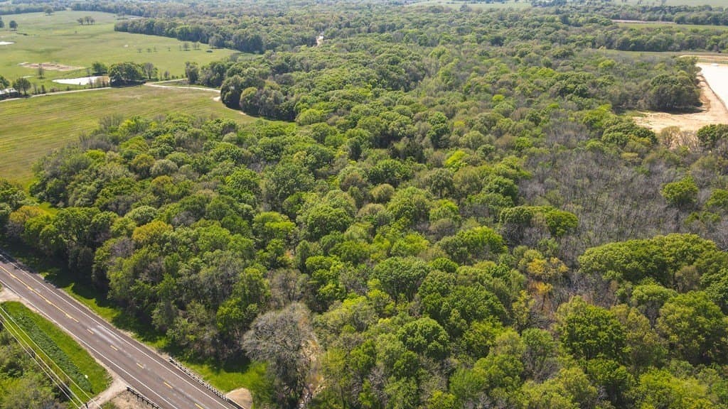 56.08 acres in Van Zandt County - photo 13