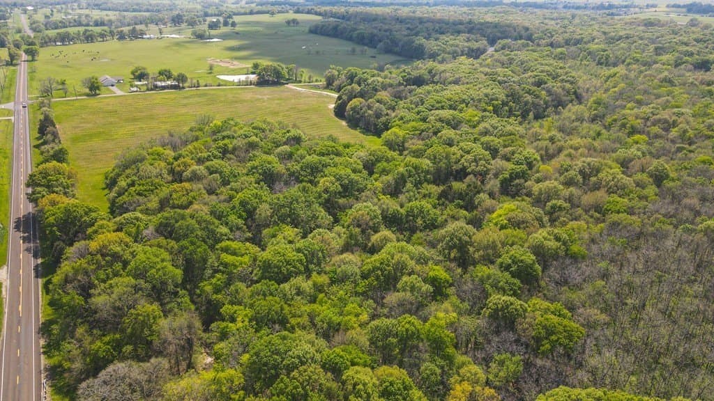 56.08 acres in Van Zandt County - photo 18