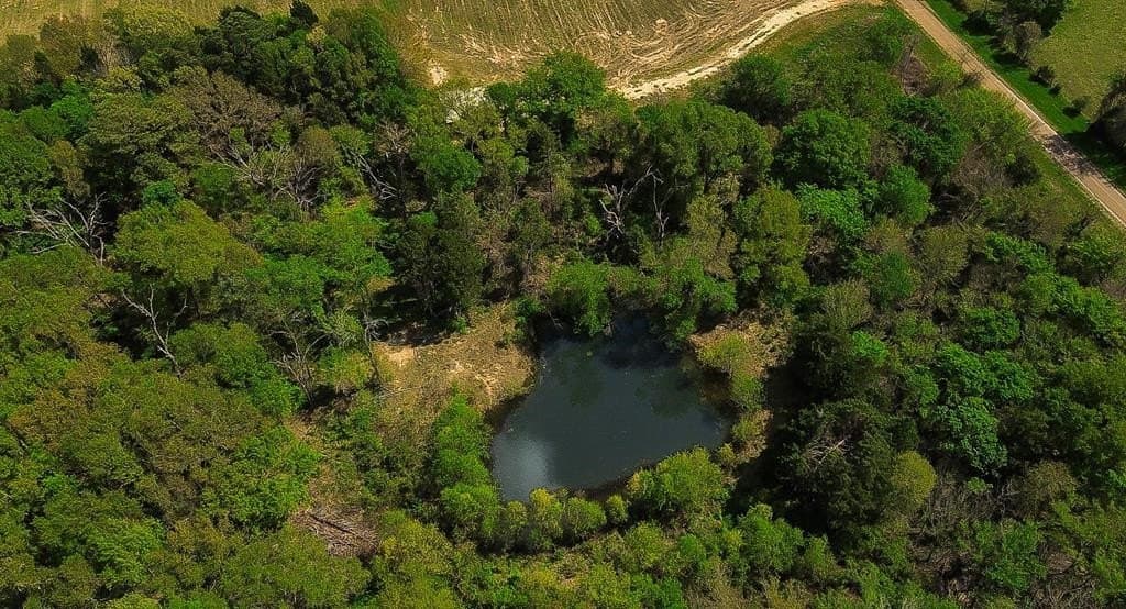 56.08 acres in Van Zandt County - photo 31