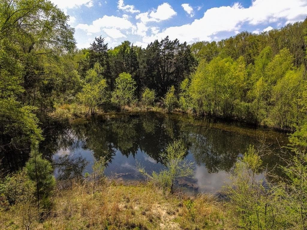 56.08 acres in Van Zandt County - photo 32