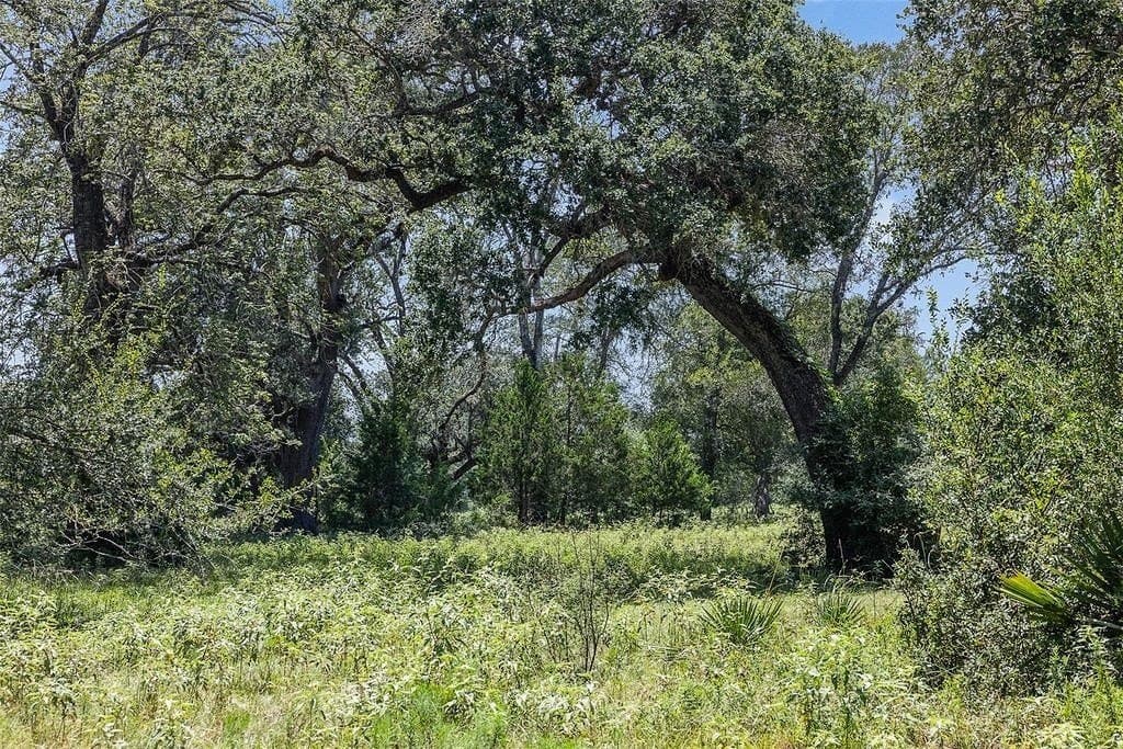 72.96 acres in Colorado County - photo 13