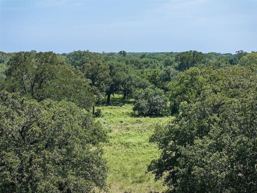 72.96 acres in Colorado County - photo 17