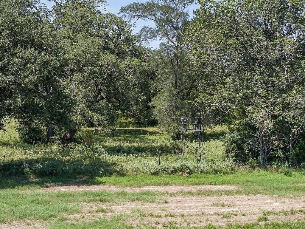 72.96 acres in Colorado County - photo 12