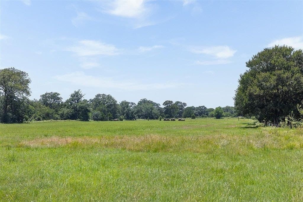 72.96 acres in Colorado County gallery image 4