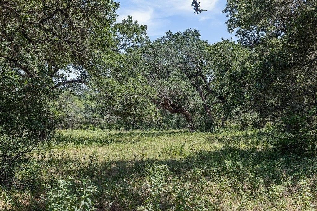 72.96 acres in Colorado County - photo 15