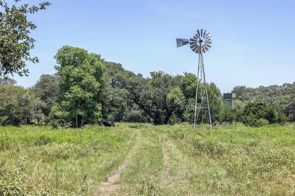 72.96 acres in Colorado County gallery image 2