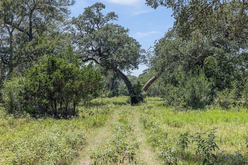 72.96 acres in Colorado County - photo 8