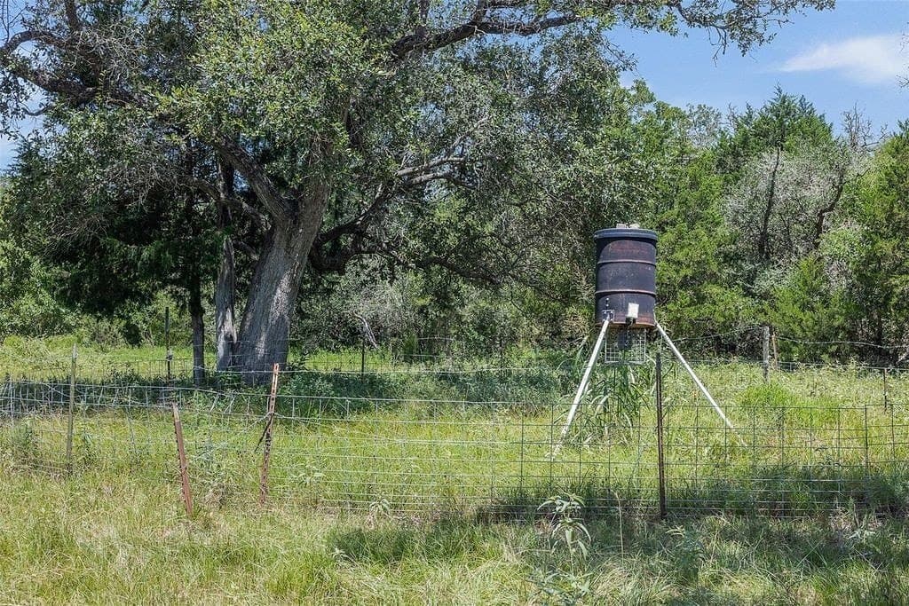 72.96 acres in Colorado County - photo 18