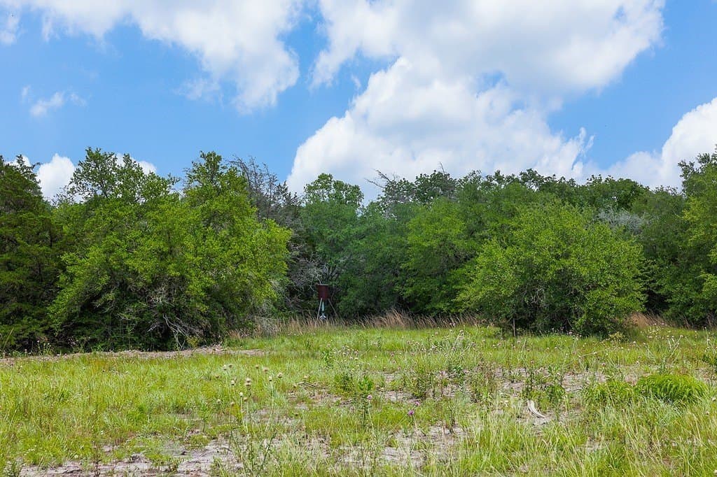 37.78 acres in Washington County gallery image 3