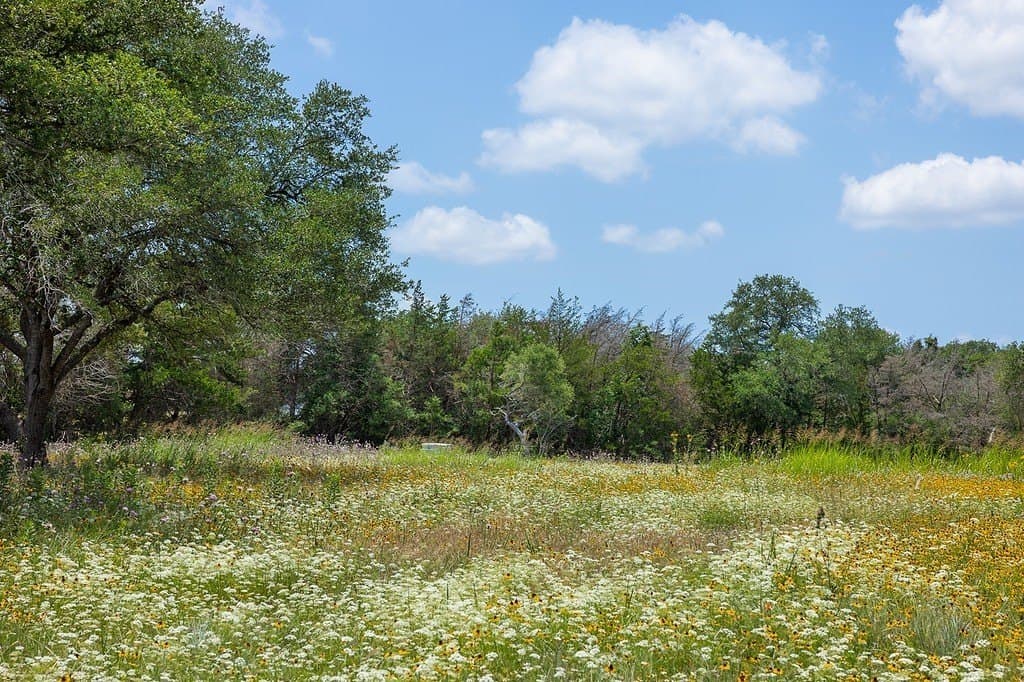 37.78 acres in Washington County featured view
