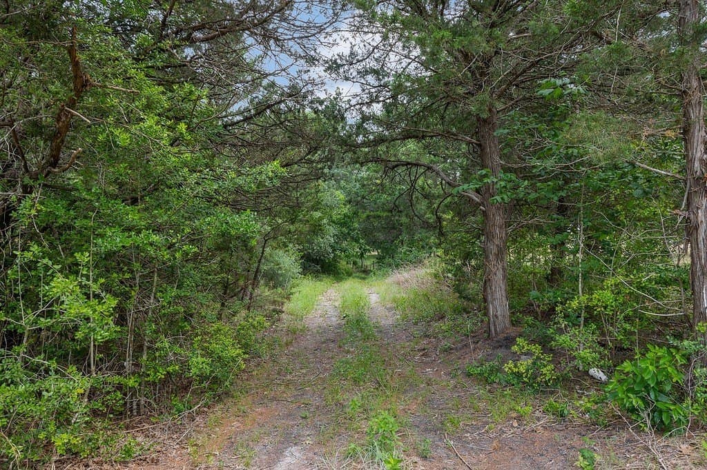 37.78 acres in Washington County gallery image 4