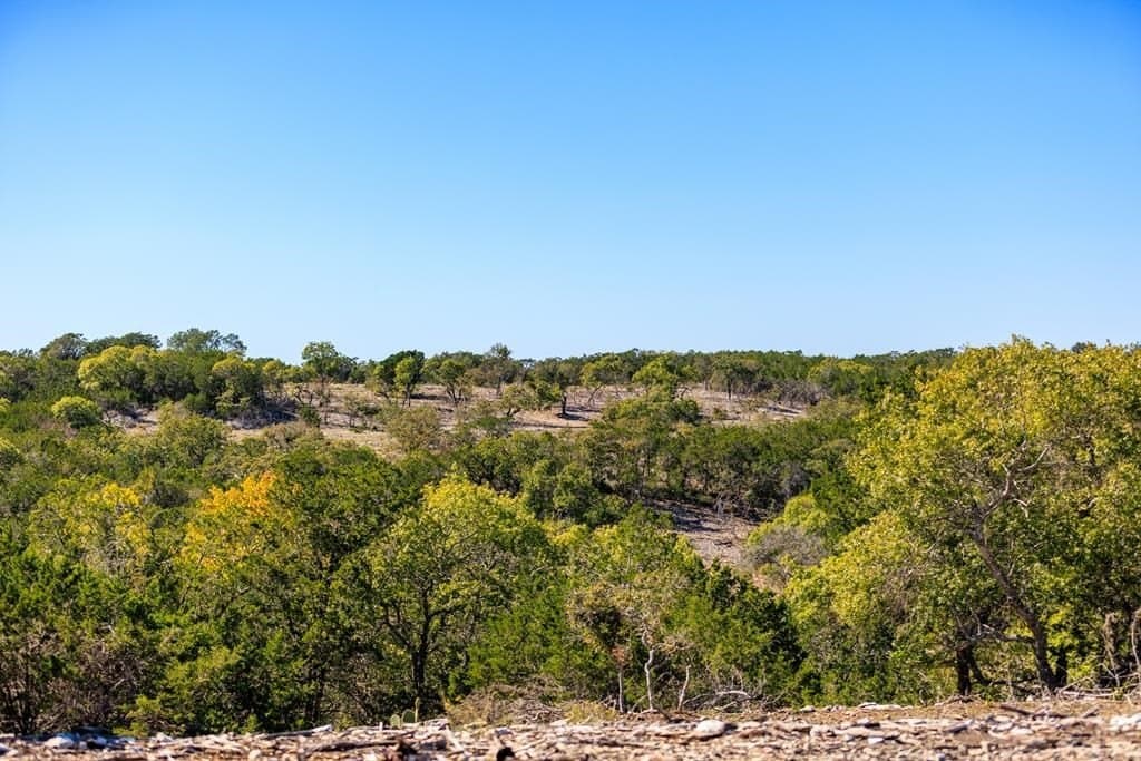 48.11 acres in Gillespie County featured view