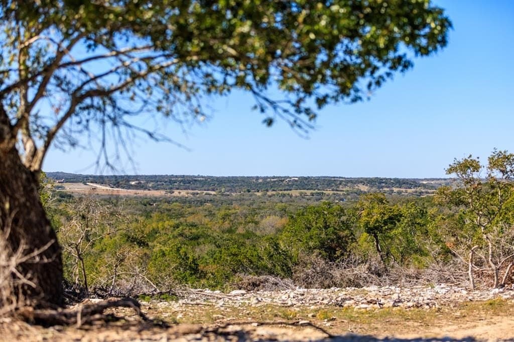 48.11 acres in Gillespie County gallery image 3