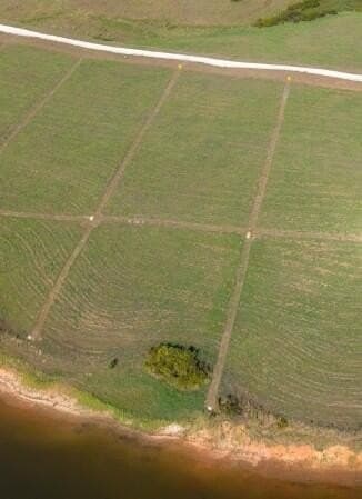 1 acres in Texas County - photo 5