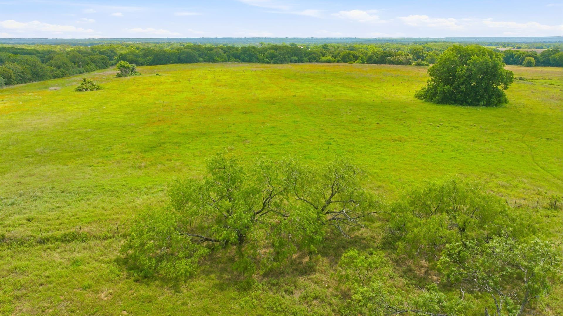 12.8 acres in Hill County - photo 6