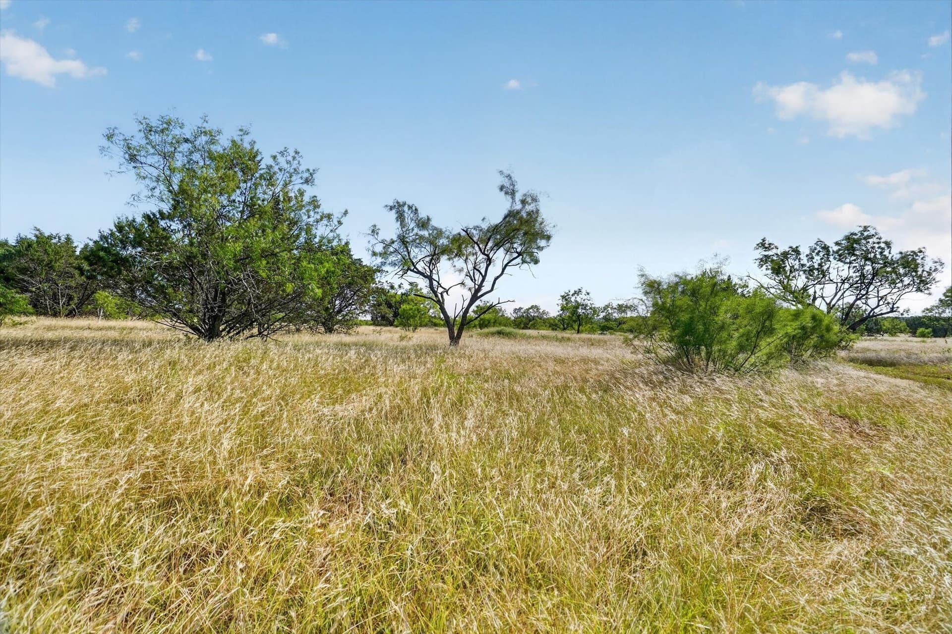 5.04 acres in Palo Pinto County - photo 7