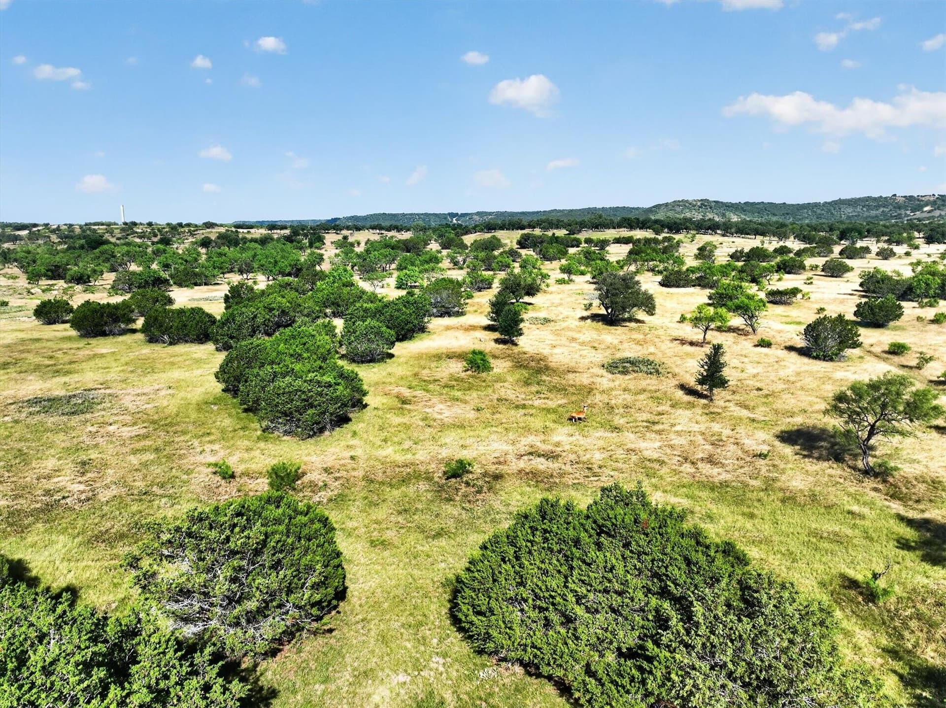 5.04 acres in Palo Pinto County - photo 12