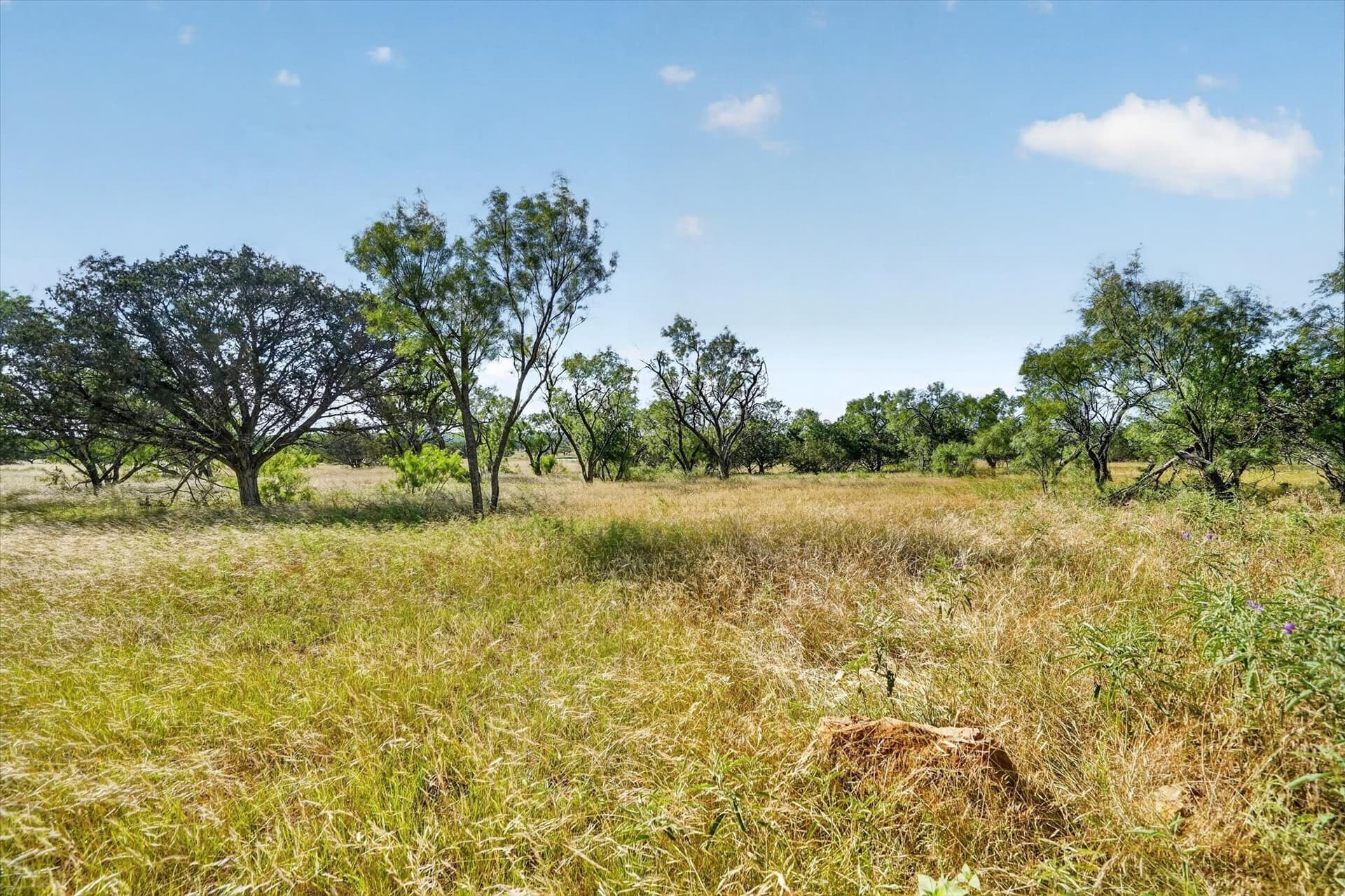 5.04 acres in Palo Pinto County - photo 6
