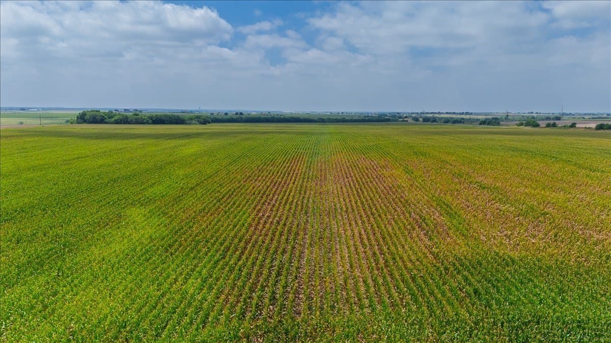 10 acres in Hill County - photo 6