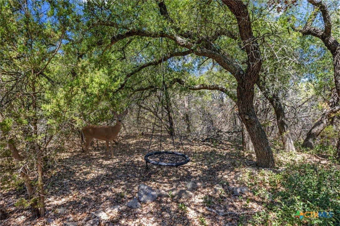 4.99 acres in Bell County - photo 20