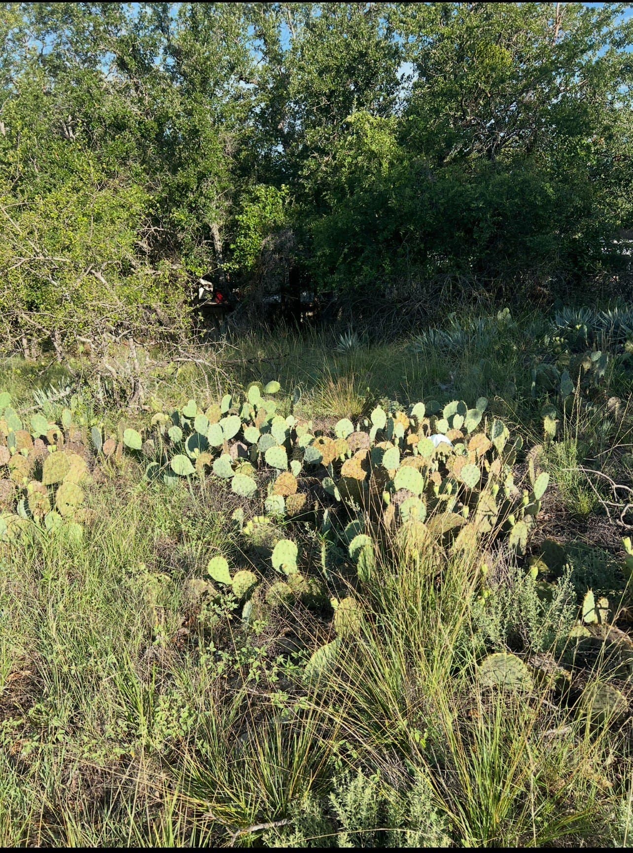 0.05 acres in Brown County gallery image 2