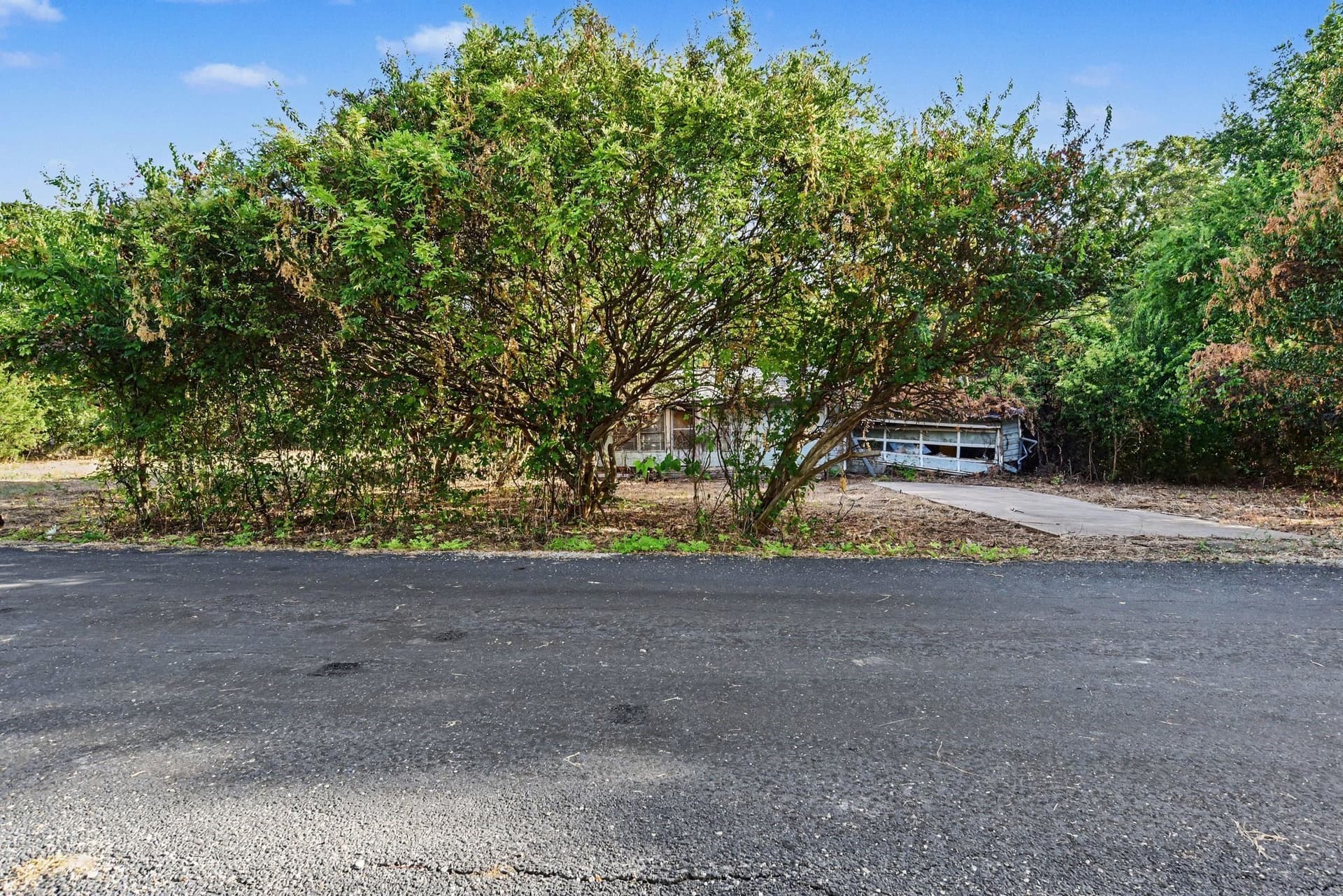 0.16 acres in Collin County - photo 3