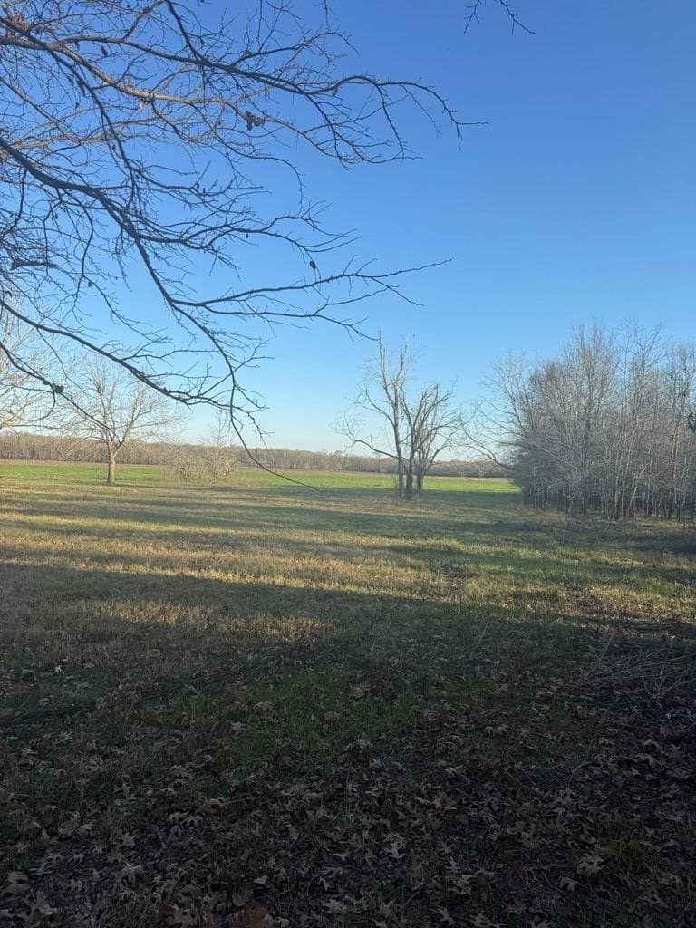 82.72 acres in ANDERSON County gallery image 4