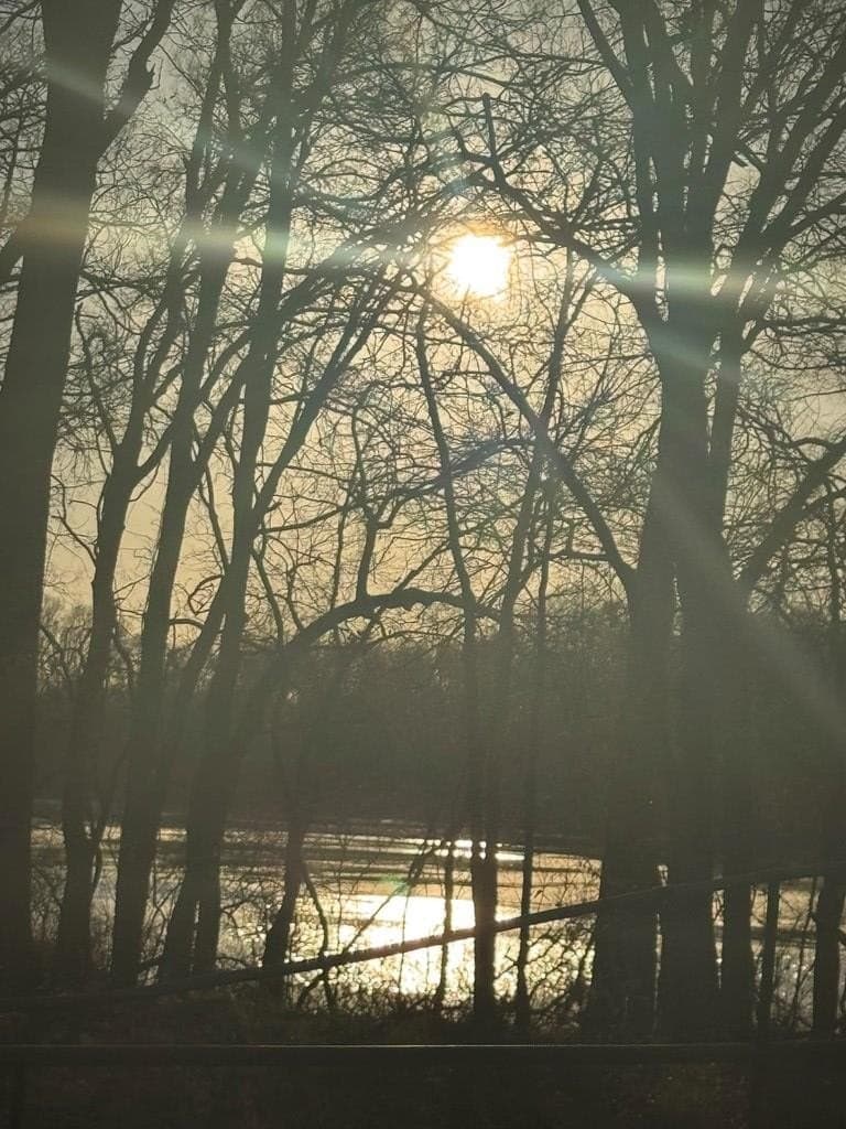 82.72 acres in ANDERSON County