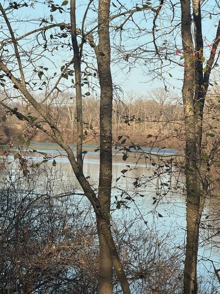 82.72 acres in ANDERSON County gallery image 3