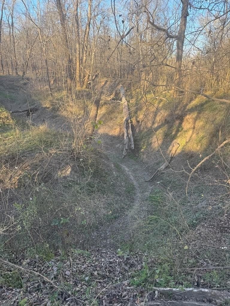 82.72 acres in ANDERSON County gallery image 2