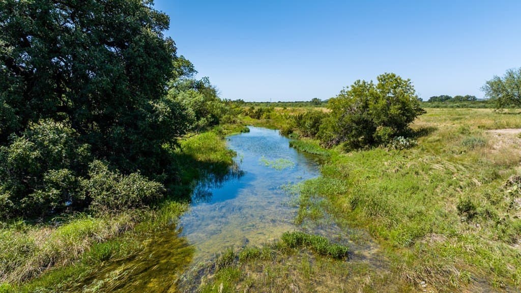 353 acres in Tom Green County gallery image 3