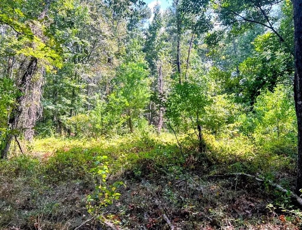 6.18 acres in ANDERSON County