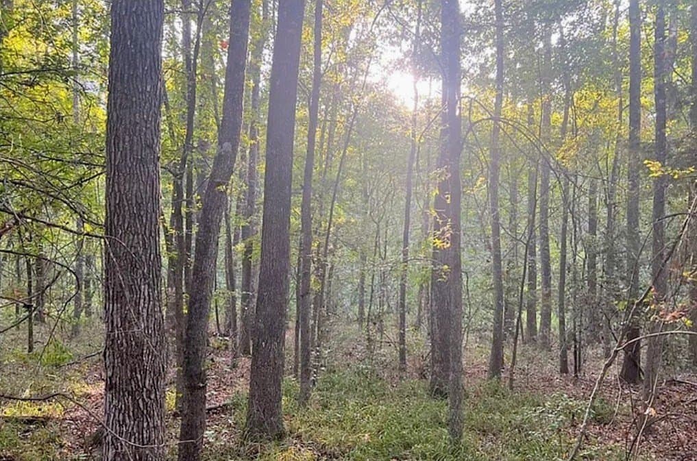 6.18 acres in ANDERSON County gallery image 2
