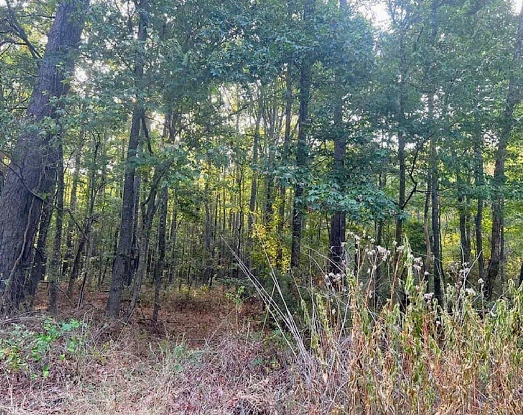 6.18 acres in ANDERSON County featured view